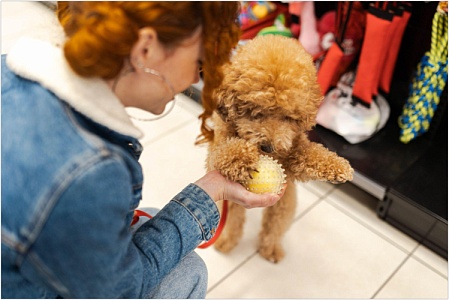 Питомцам только самое лучшее 