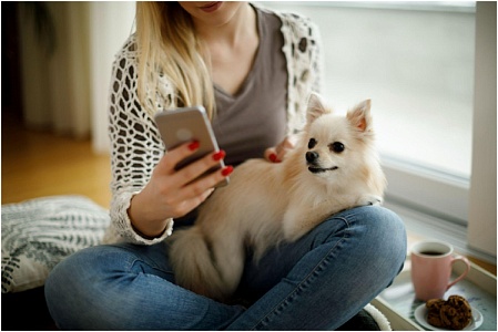 Московским владельцам питомцев стали доступны новые сервисы в приложении «Мой id»