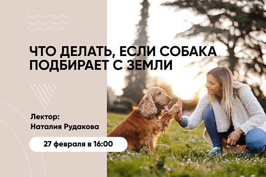 Приглашаем на новый вебинар «Как отучить собаку подбирать с земли» Приглашаем на новый вебинар «Как отучить собаку подбирать с земли»