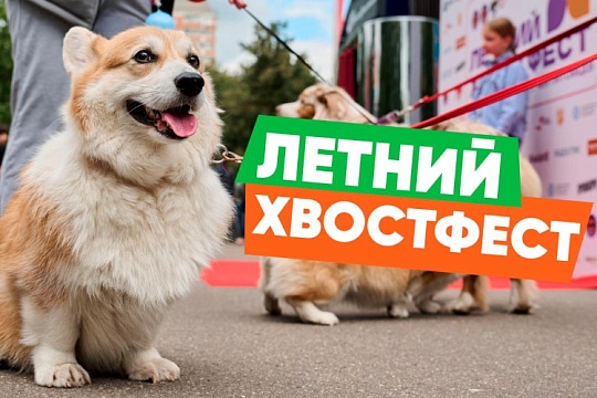 Завершился «Летний Хвостфест»