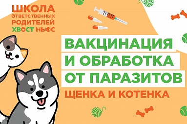 Вакцинация и обработка от паразитов щенка и котенка Вакцинация и обработка от паразитов щенка и котенка