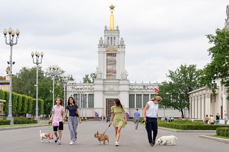 Вместе на выставку, в кафе и в парк: как ВДНХ создает инфраструктуру для питомцев