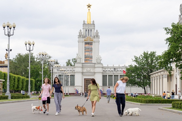 Вместе на выставку, в кафе и в парк: как ВДНХ создает инфраструктуру для питомцев