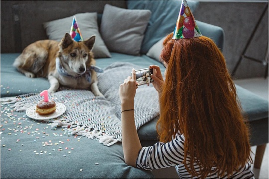 Хвостатый день рождения: как устроить праздник для питомца Хвостатый день рождения: как устроить праздник для питомца