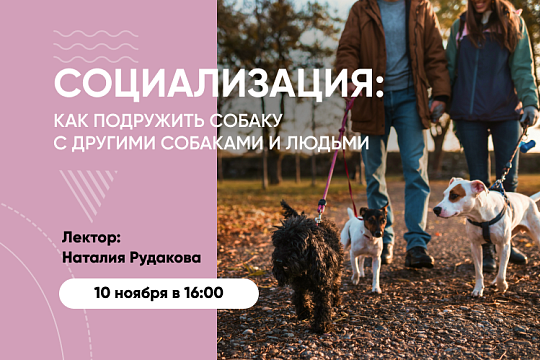 Приглашаем на вебинар «Социализация. Как подружить собаку с другими собаками и людьми»