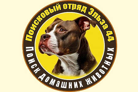 В Костроме появился поисковый отряд «Эльза 44»