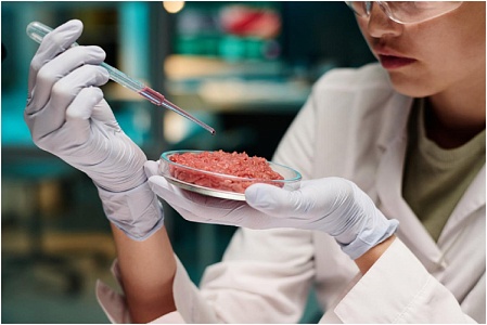 Великобритания первая в Европе одобрила продажу искусственного мяса для кормления питомцев