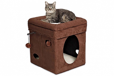 Лежанка для кошки: ваш правильный выбор