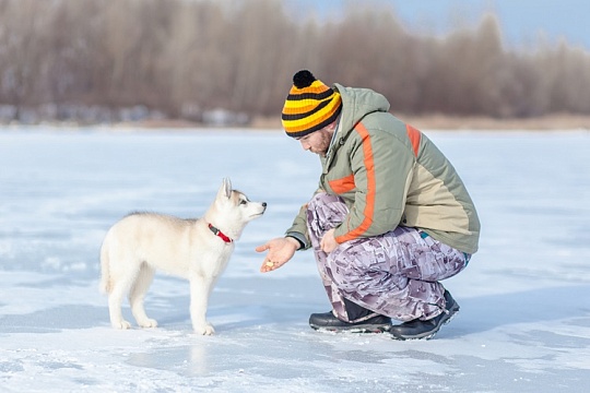 Стоит ли брать собаку на рыбалку