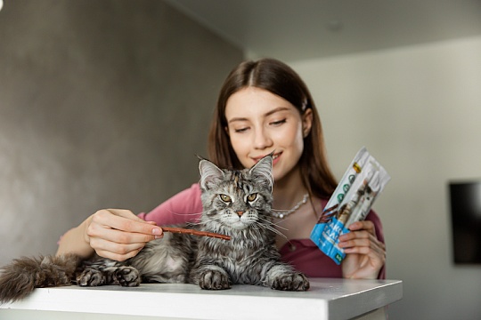 Тест, как понять кошку: насколько питомец вас любит Тест, как понять кошку: насколько питомец вас любит