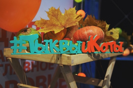 Благотворительный фестиваль «Тыквы и Коты»: добрые развлечения и помощь бездомным кошкам Благотворительный фестиваль «Тыквы и Коты»: добрые развлечения и помощь бездомным кошкам