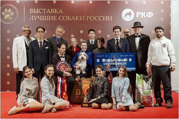 Лучшие собаки России впервые выйдут на ринг Санкт-Петербурга 