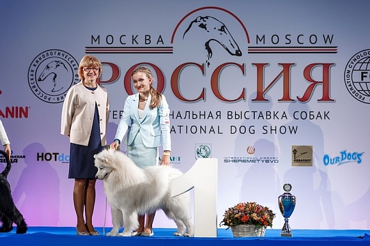 Приглашаем на легендарную выставку собак «Россия. Кубок РКФ 2020–2021» Приглашаем на легендарную выставку собак «Россия. Кубок РКФ 2020–2021»