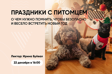 Как встретить Новый год с питомцем без проблем, обсудим на вебинаре с ветврачом