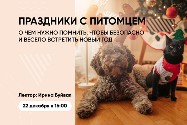 Как встретить Новый год с питомцем без проблем, обсудим на вебинаре с ветврачом