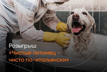 Весенний розыгрыш от Iv San Bernard и «Хвост Ньюс»