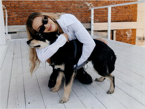 Опыт Mary Gu: три базовых принципа заботы о питомцах