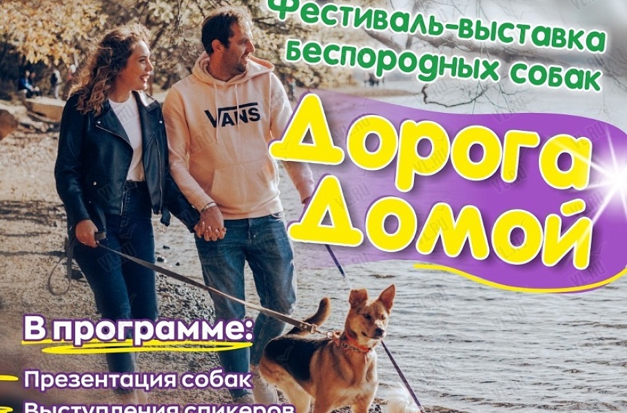 Фестиваль-выставка "Дорога домой" Фестиваль-выставка "Дорога домой"