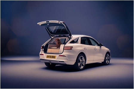 Genesis выпустила автомобиль для путешествий с собакой