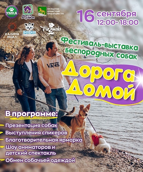 Фестиваль-выставка "Дорога домой" Фестиваль-выставка "Дорога домой"