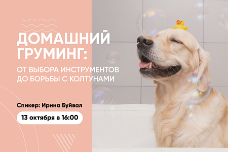 Приглашаем на вебинар «Домашний груминг: от выбора инструментов до борьбы с колтунами»