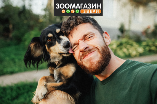 Школа ответственных родителей с зоомагазином «Звери»