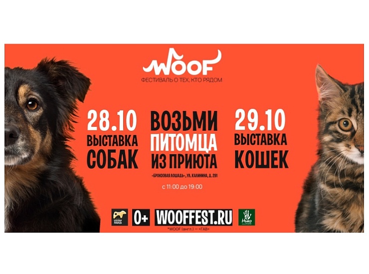 "WOOF" в Краснодаре "WOOF" в Краснодаре