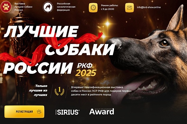Выставка «Лучшие собаки России – РКФ 2025»