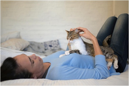 Почему кошки мнут лапками владельцев