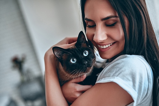 Главное о котенке с трех до шести месяцев Главное о котенке с трех до шести месяцев