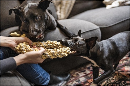 Вечное детство или зависимость?