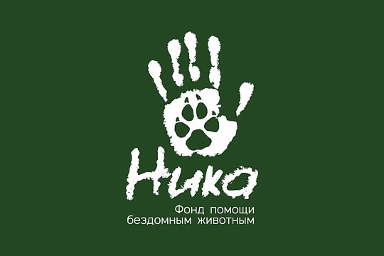 Строительству новых приютов быть!