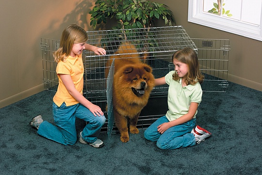 Зачем нужна в квартире клетка для собак? Зачем нужна в квартире клетка для собак?