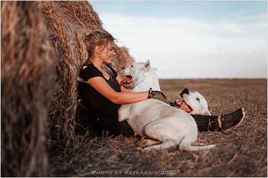 От владелицы миниатюрной таксы до заводчика аргентинских догов 