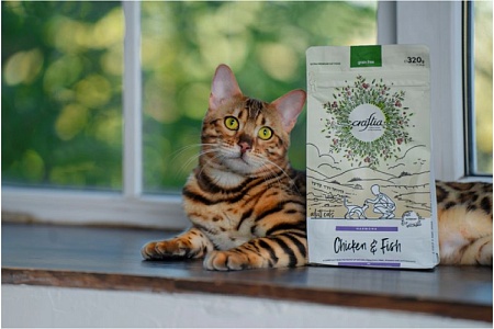 Корм холистик для кошек: особенности рациона и правила выбора