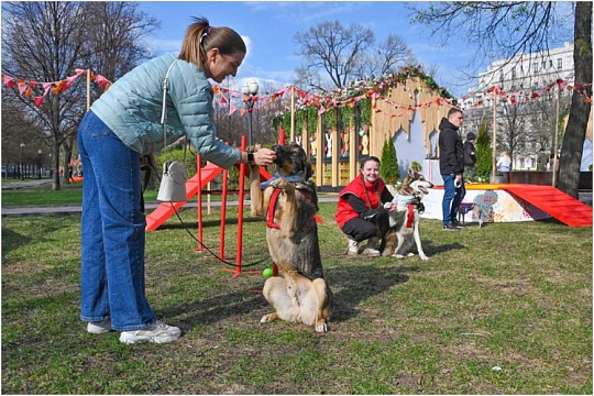 «Моспитомец х Четвероногий друг»: спецпроект на Тверском бульваре с 16 по 19 апреля