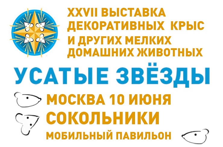 Выставка «Усатые звезды» Выставка «Усатые звезды»
