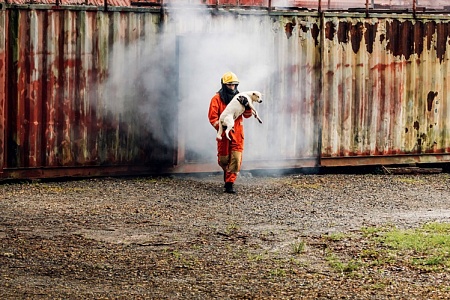 В Лучегорском приюте для безнадзорных питомцев произошел крупный пожар