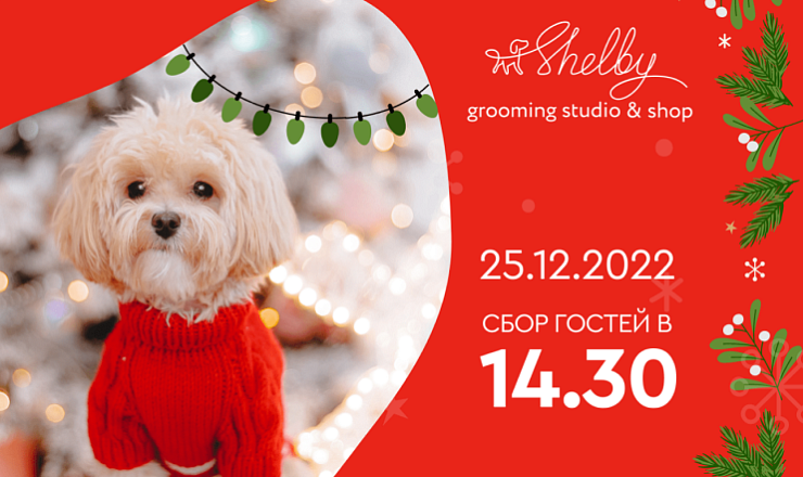 Новогодняя вечеринка Shelbi Новогодняя вечеринка Shelbi