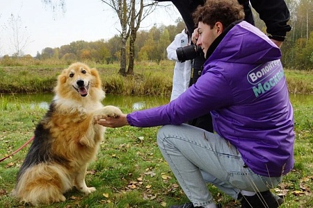 Фотоконкурс «Приюти жизнь» объявлен открытым