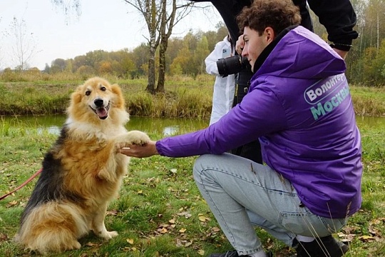 Фотоконкурс «Приюти жизнь» объявлен открытым