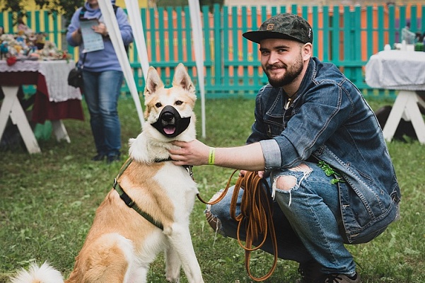 «Котодетки-2022»: самый добрый и бодрый pet-friendly пикник этого лета