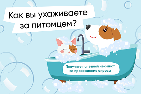 Дарим подарок за короткий опрос о вашем питомце Дарим подарок за короткий опрос о вашем питомце