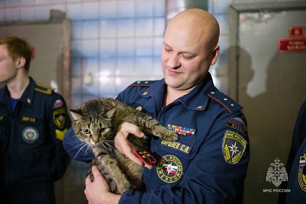 Коту Толику присвоили звание прапорщика