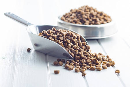 Может ли корм отличаться от партии к партии