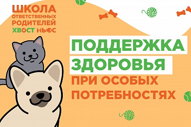 Поддержка здоровья щенков и котят (суставы, аллергия и ЖКТ) Поддержка здоровья щенков и котят (суставы, аллергия и ЖКТ)