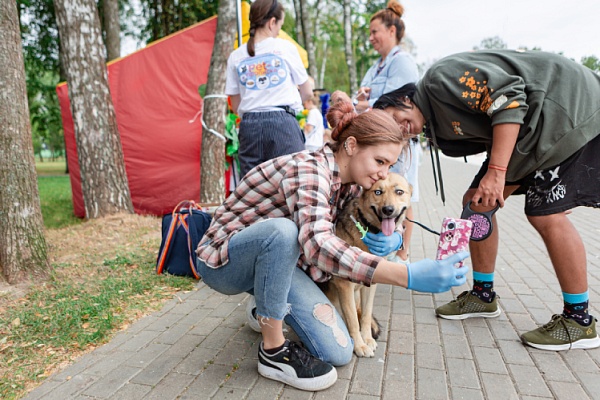 «Pet-прописка»: льготная акция, которая защитит именно вашего питомца