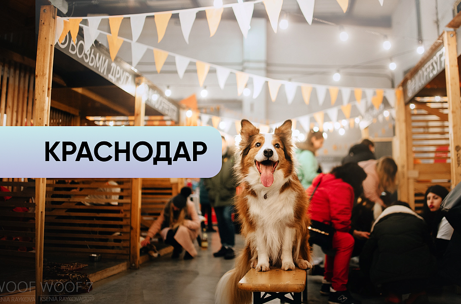 WOOF Краснодар WOOF Краснодар