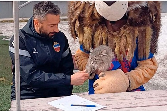 ФК «Енисей» подписал контракт с котом 