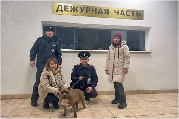 В Уфе спасли брошенную на вокзале собаку